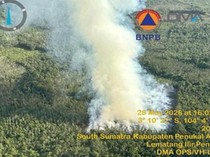 BPBD Catat Ada 157 Kejadian Karhutla di Sumsel, PALI Masuk Zona Merah