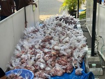 Top! Distribusi Kurban Komunitas Masjid di Surabaya Ini Sudah Pakai AI