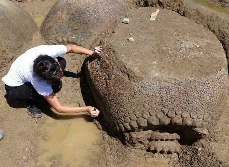 Kumpulan  foto menakjubkan yang mengungkap keajaiban dunia,