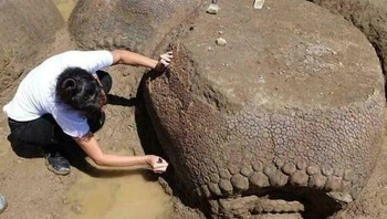 Seorang petani Argentina menemukan keluarga armadillo berukuran sebesar mobil berusia 20.000 tahun yang berkerumun di halaman rumahnya. Foto: Boredpanda