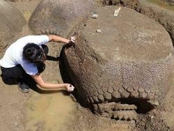 15 Foto yang Bikin Kamu Sadar Dunia Ini Sungguh Ajaib
