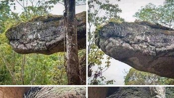 Gua di Thailand Tampak Seperti Ular Raksasa yang Membatu Foto: Boredpanda
