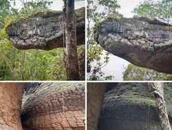 15 Foto yang Bikin Kamu Sadar Dunia Ini Sungguh Ajaib