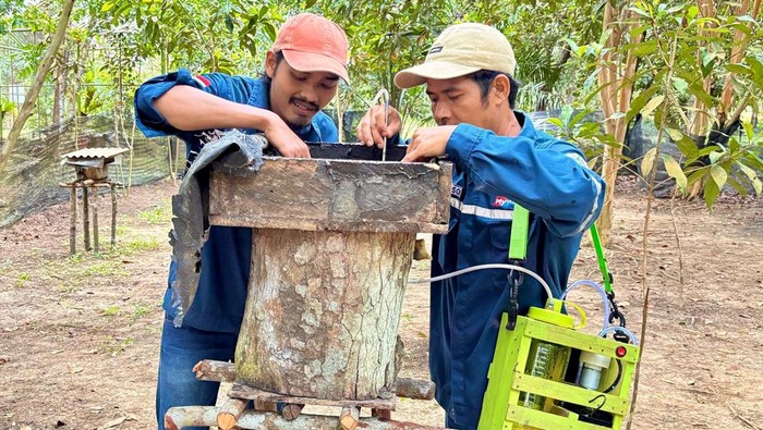 Pelatihan budidaya Lebah Kelulut dan Pengolahan Madu Berkelanjutan di Kebun Raya Tuatunu, Kota Pangkalpinang