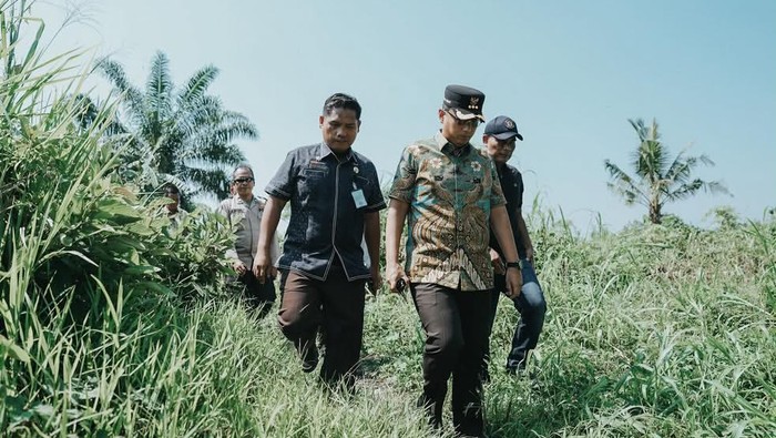 Wali Kota Medan meninjau jalan menuju TPU di Kelurahan Terjun, Kecamatan Medan Marelan