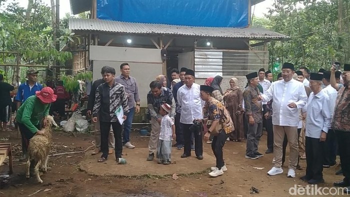 Penyaluran dan pemotongan hewan kurban dam haji di Pemalang, Jumat (29/5/2026).