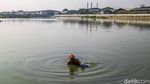 Petugas Bersihkan Waduk Belibis dari Ikan Sapu-sapu