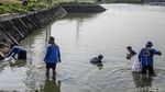 Petugas Bersihkan Waduk Belibis dari Ikan Sapu-sapu