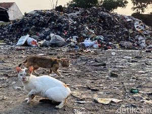 Tangani Sampah, Farhan Cari Lahan di Bandung untuk Bangun TPA