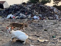 Bandung Targetkan Kurangi 250 Ton Sampah Setiap Hari