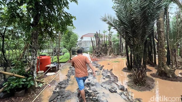 Usaha Pohon Pelindung di Bogor