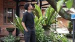 6 Tahun Pencarian, Omesh dan Dian Ayu Temukan Rumah Impian