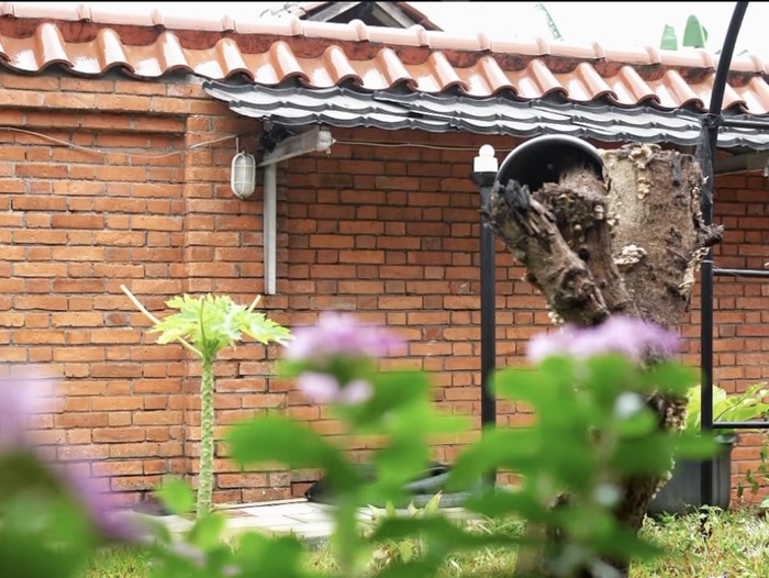 6 Tahun Pencarian, Omesh dan Dian Ayu Temukan Rumah Impian