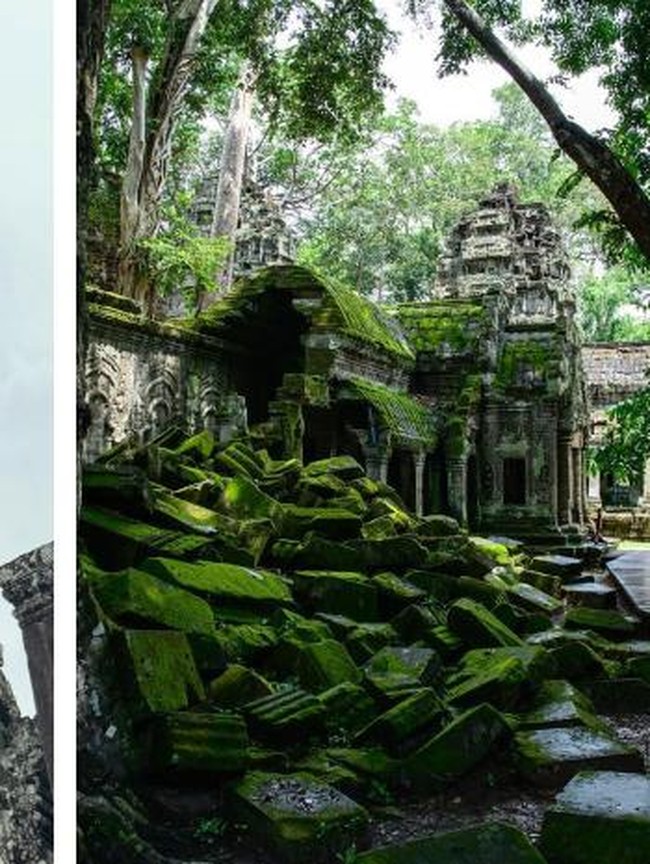 Bangunan Megah yang Ditelan Alam, Pemandangannya Bikin Merinding