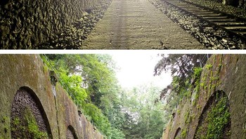 La Petite Ceinture adalah jalur kereta api melingkar yang mengelilingi Paris dan beroperasi sejak abad ke-19. Jalur ini pernah menjadi urat nadi transportasi penumpang dan barang sebelum akhirnya kalah bersaing dengan sistem Metro Paris yang lebih modern. Layanan penumpang dihentikan pada 1934, sementara bagian terakhir jalur ini ditutup pada 1993. Kini, rel-rel yang terbengkalai dipenuhi rumput liar, bunga, dan pepohonan yang tumbuh di sepanjang lintasan hingga ke dalam terowongan tua. Foto: Boredpanda