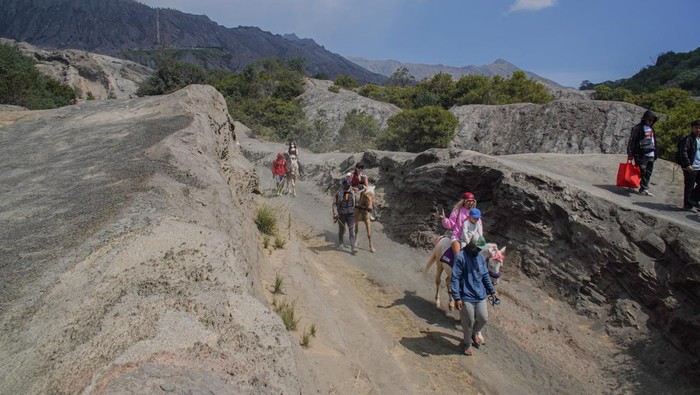 Wisatawan menunggang kuda di kawasan Taman Nasional Bromo Tengger Semeru (TNBTS) di Kabupaten Probolinggo, Jawa Timur, Jumat (29/5/2026). Balai Besar TNBTS menutup sementara kawasan wisata Gunung Bromo pada 30 Mei hingga 2 Juni 2026 untuk menghormati pelaksanaan ritual Yadnya Kasada oleh masyarakat Suku Tengger. ANTARA FOTO/Irfan Sumanjaya/wsj.