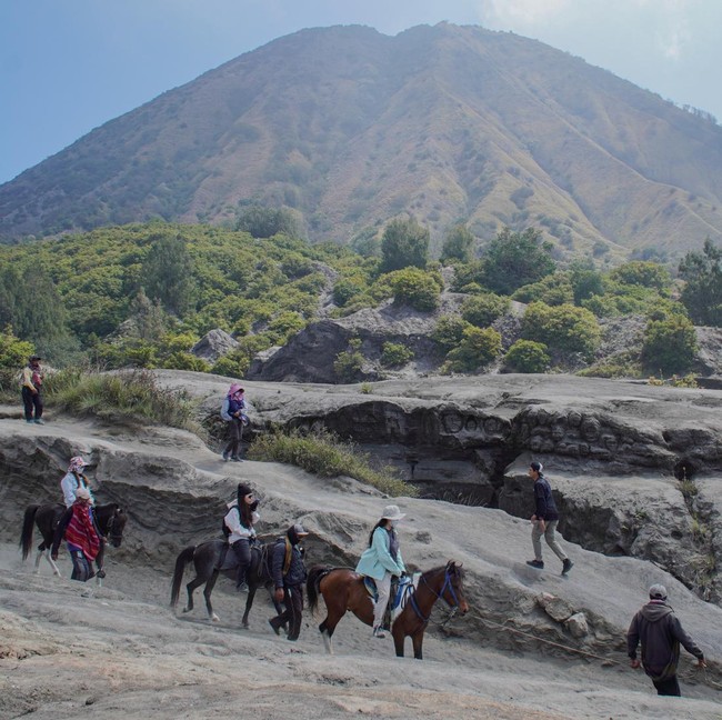 Bromo Ditutup Demi Penghormatan Ritual Yadnya Kasada