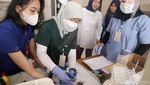 Tekan Populasi Kucing Liar, DKPP Surabaya Sterilkan 100 Kucing Lokal