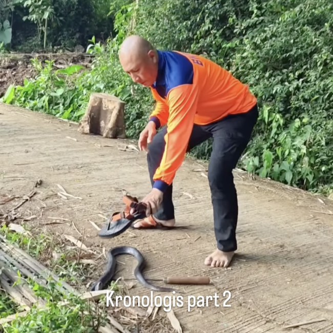 Mata Heru Jejak Si Gundul Kena Sembur Bisa Ular Kobra, Begini Kondisinya