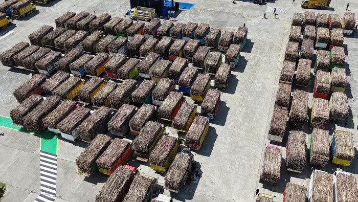 Foto udara sejumlah truk pengangkut tebu yang mengantre menuju mesin penggilingan di kawasan parkir PG Rejoso Manis Indo (RMI) Blitar, Jawa Timur, Sabtu (30/5/2026). Gubernur Jawa Timur Khofifah Indar Parawansa optimis kontribusi Jawa Timur terhadap produksi gula nasional mencapai 51 persen atau sekitar 2.029.432,45 ton, atau meningkat sekitar 685.437,45 ton, dibandingkan produksi gula kristal putih di Jawa Timur pada 2025 lalu yang tercatat sebesar 1.343.995 ton. ANTARA FOTO/Irfan Anshori/YU