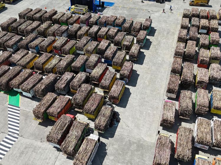 Jatim Targetkan Sumbang 51 Persen Produksi Gula Nasional