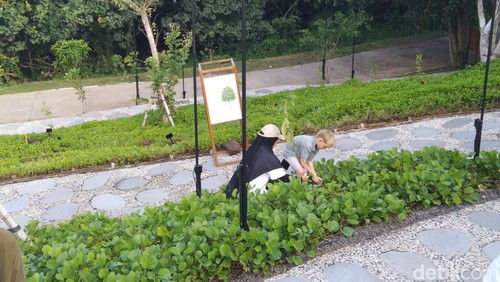 Aksi tanam 1.000 pohon endemik Bali di Nuanu Magic Garden yang diikuti oleh pengunjung. /Krisna Pradipta
