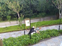 Seribu Pohon Endemik Pulau Dewata Ditanam di Nuanu Park