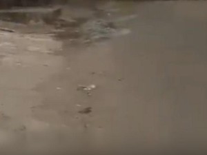 Pipa Gas Bocor di Bekasi Ditangani, Polisi Pastikan Lokasi Aman