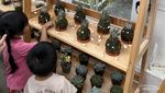 Liburan Edukatif untuk Keluarga di Kebun Raya Cibodas, Lebih Nyaman Tanpa Pungli