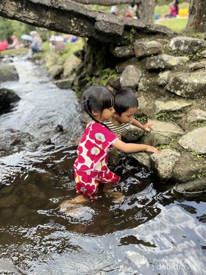 Liburan Edukatif untuk Keluarga di Kebun Raya Cibodas, Lebih Nyaman Tanpa Pungli