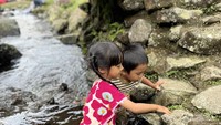 Liburan Edukatif untuk Keluarga di Kebun Raya Cibodas, Lebih Nyaman Tanpa Pungli