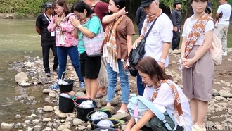 Jelang Waisak, Umat Buddha Lepas Ribuan Ikan-Merpati di Sungai Progo