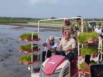 Wamentan Puji Lamongan sebagai Lumbung Pangan Jatim