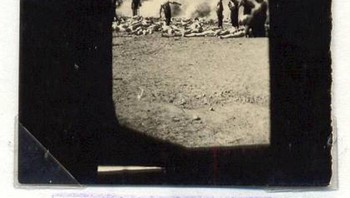 Foto ini diambil secara diam-diam dari dalam lokasi pembantaian Nazi. Foto-foto ini diambil oleh para tahanan yang dipaksa bekerja di kamar gas, kelompok yang disebut sebagai Sonderkomando. Foto: Bored Panda