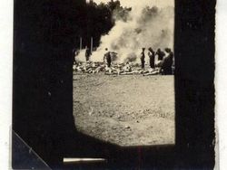 10 Foto yang Tampak Normal, Tapi Jadi Kelam Setelah Tahu Kebenarannya