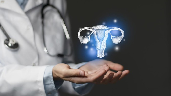 Reproductive system issues medical concept. Photo of female doctor, empty space.