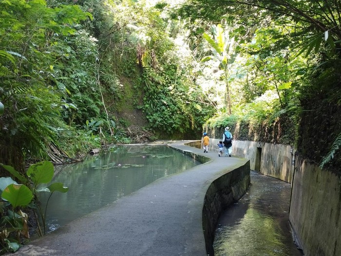 Pengunjung melalui jalan menuju Taman Magenda Eco Park, Gianyar, Bali, Minggu (31/5/2026). Pelancong maupun pemedek harus melalui jalan yang diapit oleh aliran kali kecil dan kolam teratai.