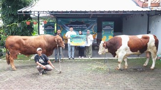 Cerita Telkomsel Salurkan Hewan Kurban di Momen Iduladha 1447 H