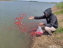 Tradisi Warga Siring Tabur Bunga di Tanggul Lumpur Lapindo Jelang Nikah