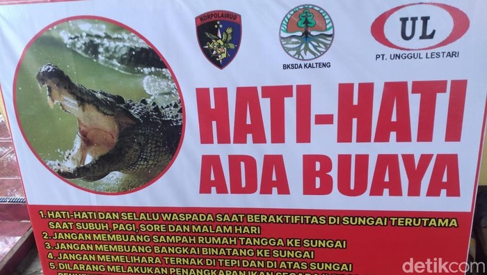 Ilustrasi foto spanduk peringatan waspada buaya di Kalteng. (Sigit Pamungkas/detikKalimantan)