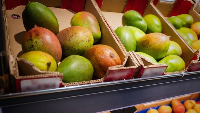 Mangga Cepat Busuk Padahal Baru Dibeli? Coba Simpan di Suhu Ideal Ini