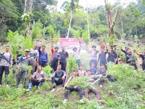 Polisi Temukan 3 Hektare Ladang Ganja di Madina