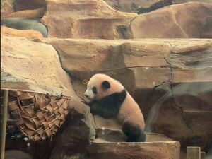 China Senang Indonesia Bisa Menjaga Harta Nasionalnya