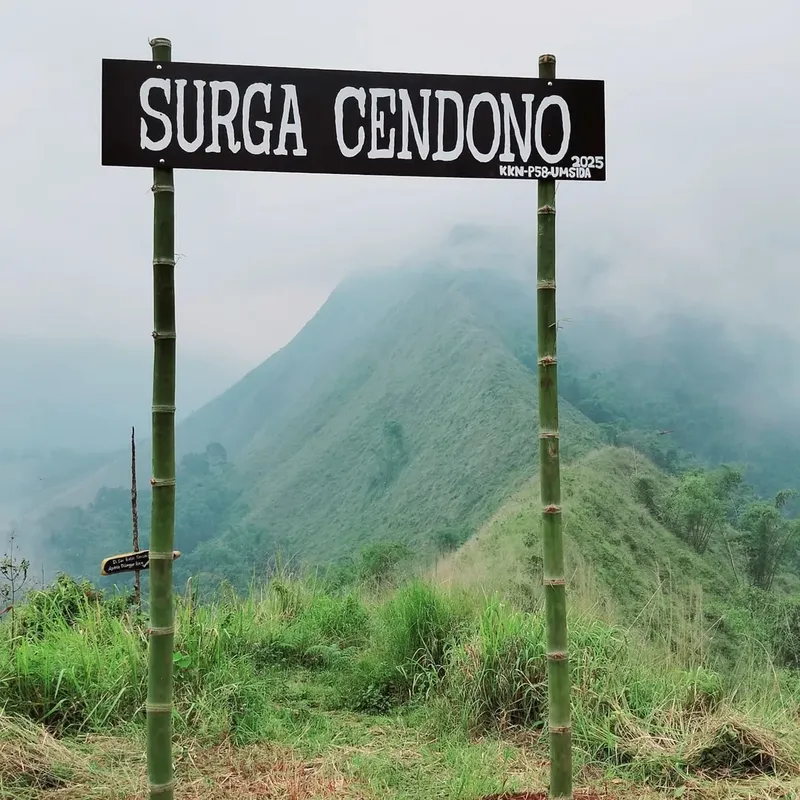 Wisata Bukit cendono, melihat panorama gunung arjuno