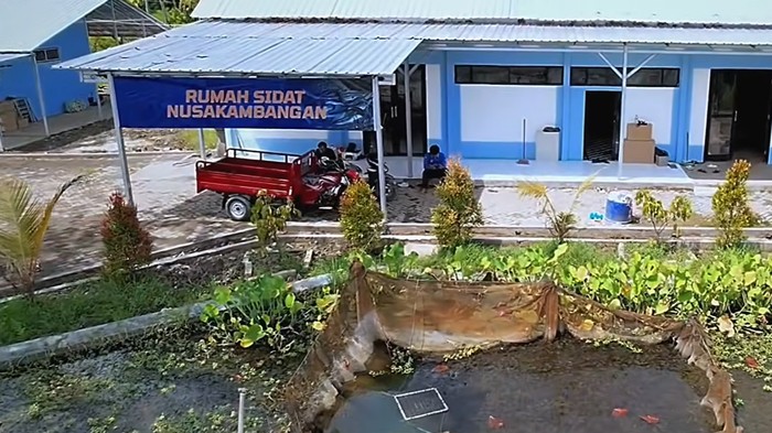Dampak budidaya sidat di Pulau Nusakambangan bagi masyarakat sekitar.