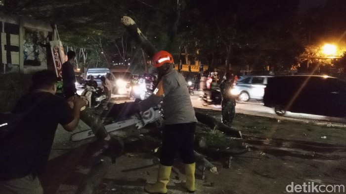 Evakuasi pohon tumbang di Jatinangor