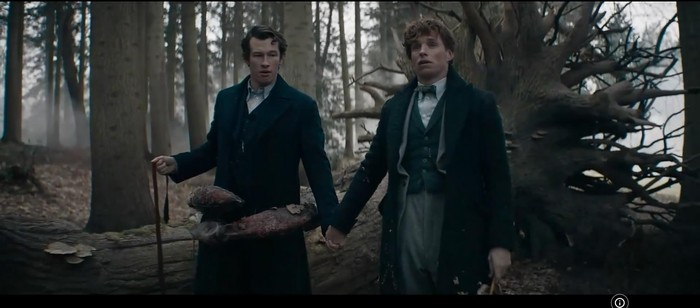 Intip Akting Callum Turner hingga ke Hollywood