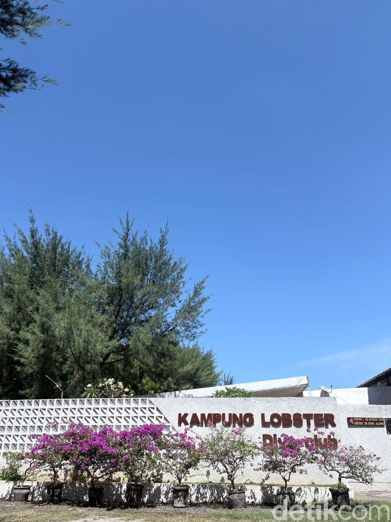 Kampung Lobster Banyuwangi