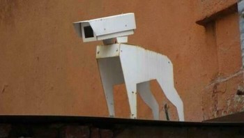 Hati-hati dalam bertindak, ada anjing pengawas. Foto: Bored Panda