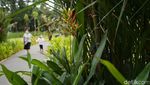 Koleksi Tanaman Tropis Hiasi Taman Bendera Pusaka